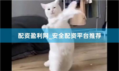 配资盈利网_安全配资平台推荐