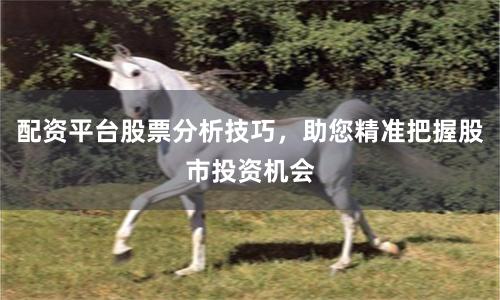 配资平台股票分析技巧，助您精准把握股市投资机会