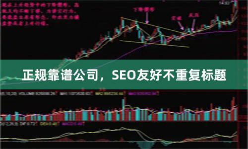 正规靠谱公司，SEO友好不重复标题