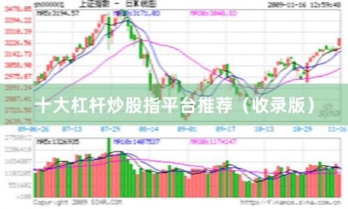 十大杠杆炒股指平台推荐（收录版）