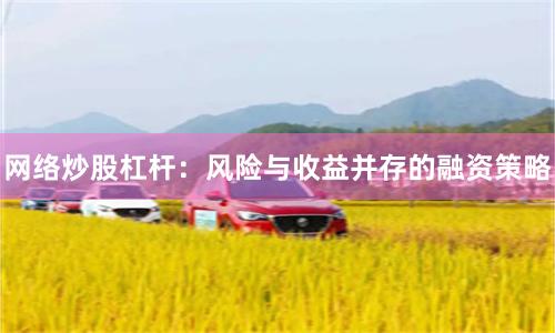 网络炒股杠杆：风险与收益并存的融资策略